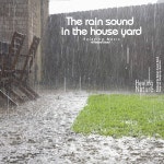 수면 유도 빗소리 (백색 소음, 화이트 노이즈, 빗소리 자장가, 현장 녹음, 공부, 숙면, 불면증, 명상, 집중, 암기, 힐링) / 힐링 네이쳐 - genie