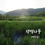 믿음의 모험 / 생명나무 - genie