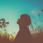 멍든 기억 / 양네온 - genie