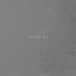 떠나버린 사랑 / 김성자 - genie