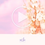 봄의 이야기 Part.2 / BGM나라 - genie