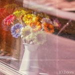 봄날의 어느 따스한 오후 / 죠뎀 (Jo.Ddem) - genie