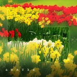 어느 봄, 널 그리며 / 어웨이크 (aWAYke) - genie