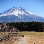 심신의 휴식, 마음을 편안하게 해주는 심리안정 행복테라피 명상피아노 7 / 심신의 휴식 - genie