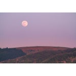 달 그림자 / 피아노 스케치 - genie