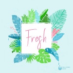 FRESH / Welcome Rain (웰컴레인) - genie