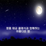 명품 태교 클래식과 함께하는 아름다운 밤 / Various Artists - genie
