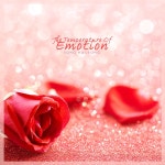 감정의 온도 / 송희정 - genie