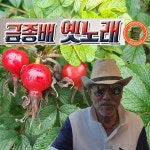 미스고 / 금종배 - genie