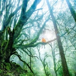 명상 마음의 안정을 위한 진정음악, 심리적 안정과 심신의 행복을 위한 이완과 위로의 마음치유 휴식 피아노 자장가 2 / 명상 심리안정 - genie