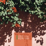 나른한 햇살에 기대어 / 루바토 (Rubato) - genie