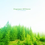Fragrance Of Forest / 이향기 - genie