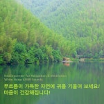 푸르름이 가득한 자연에 귀를 기울여 보세요! 마음이 건강해집니다! (명상, 치유) (숲속 빗소리) / 힐링 명상-치유센터 - genie
