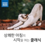 상쾌한 아침의 시작을 여는 클래식 / Various Artists - genie