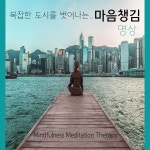 복잡한 도시를 벗어나는 마음챙김 명상 (자연음 ASMR, 뉴에이지, 피아노, 클래식) / 힐링 명상-치유센터 - genie