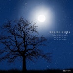 힘들면 잠시 쉬어가요 (불면증, 요가, 명상, 마음안정, 숙면, 태교, 명반, 호텔, 아기, ASMR) / 숲속의 자장가 - genie