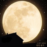 달빛 왈츠 / 21세기 낭만파 - genie