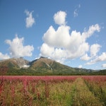 평온한 테라피, 몸과 마음에 안정감을 주는 위안과 안식의 뉴에이지 연주곡 19 / 평온한 피아노 - genie