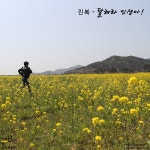 달려라 인생아! / 진복 - genie