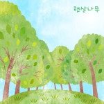 햇살나무 / 숲속의 메아리 - genie