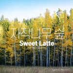 자작나무 숲 / 스위트라떼 (Sweet Latte) - genie