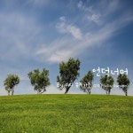 언덕너머 / 디디 뮤직가든 (DD Music Garden) - genie