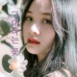 그대라는 꽃 / 너에게 스친별 - genie