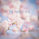 봄을 기다리는 마음 / Prom (프롬) - genie