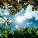 햇살이 내리는 날에 / 피아노스케치 - genie