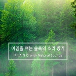 아침을 여는 숲속의 소리 향기 피아노 / 내츄럴캠프 - genie