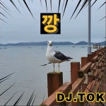 깡 (KKANG) / Dj.tok - genie