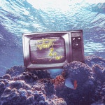 FALL 1N US / FALL IN US (폴인어스) - genie