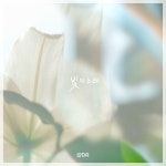 계민정보 | 빛의 노래 (With 계민아) / 로다 - genie