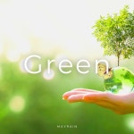 Green / 메이레인 (Mayrain) - genie