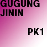 PK1 / 구궁진인 - genie