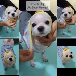 내 사랑 몽실 / 어민 - genie