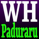 WH (Gym Mix) / Paduraru - genie