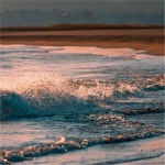 바다의 하루 / 윤경민 - genie