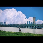 어느 아침, 세상에 남겨진 건 / 청하나 - genie