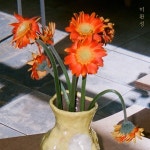 미완성 / 백아 - genie