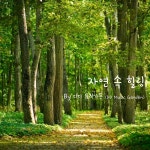 자연 속 힐링 / 디디 뮤직가든 (DD Music Garden) - genie