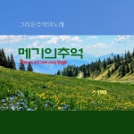 메기의추억 / 서목 - genie