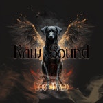 Raw Sound / Dog Tired (독 타이어드) - genie