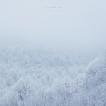 하얀 눈이 내려올때면 / 이성훈 - genie