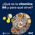 ¿Qué Es La Vitamina B6 y Para Qué Sirve? / actiage - genie