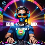 EDM Mash Up Mix Vol.6 / 디제이 쿨러 (DJ Cooler) - genie