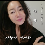 사랑아 어서와 / 비금 - genie