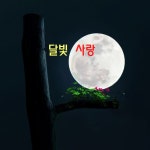 달빛 사랑 / 김동현 - genie
