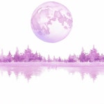 보라달 / 꿀수면연구소 - genie