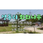 영동리 회화나무 (Ⅴ) / 연수안 - genie